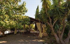 B&B Corte Degli Struzzi